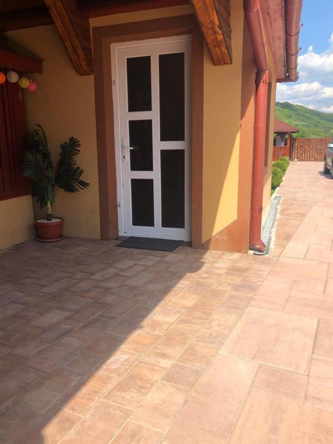 Casa Alexia Hotel Hateg Luaran gambar