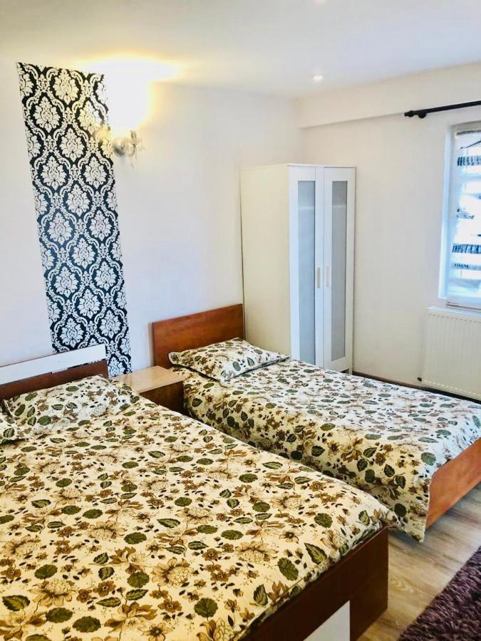 Casa Alexia Hotel Hateg Luaran gambar