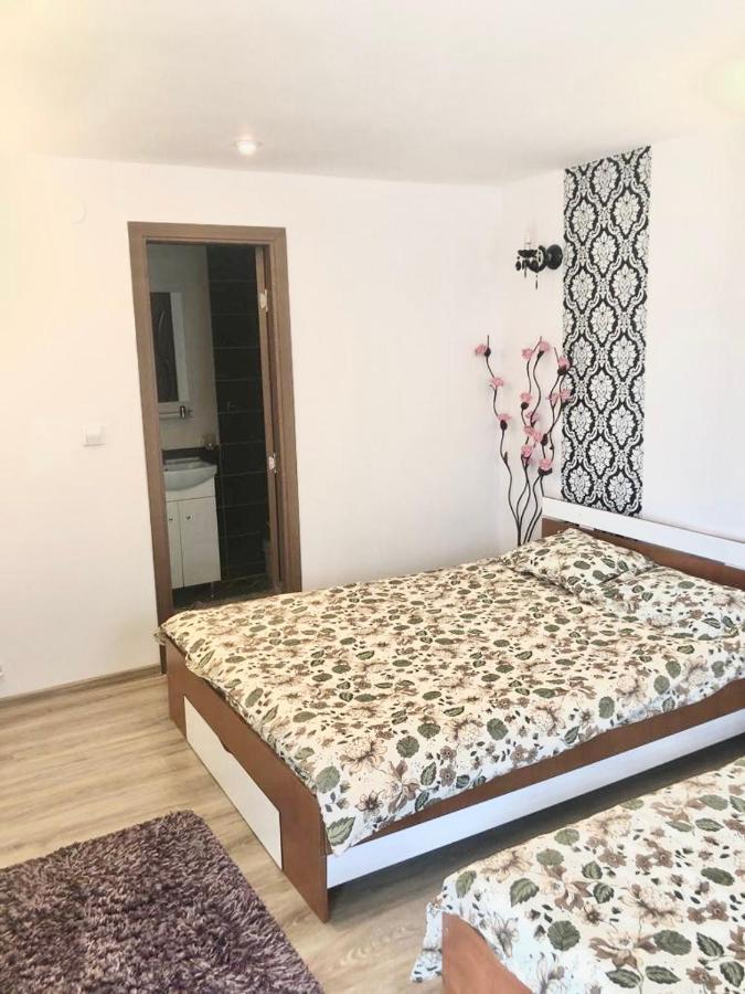 Casa Alexia Hotel Hateg Luaran gambar